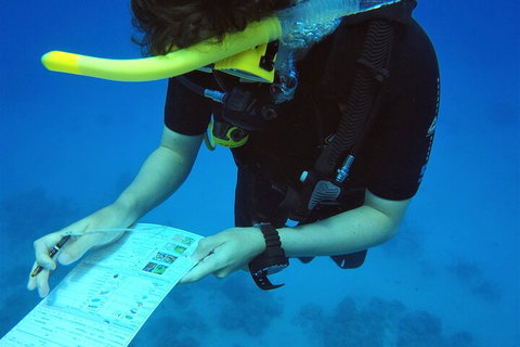 12-Day Great Barrier Reef Marine Conservation Program From Cairns - Find Attractions 2