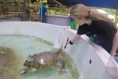 12-Day Great Barrier Reef Marine Conservation Program From Cairns - Find Attractions 4