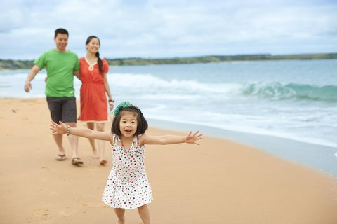 Phillip Island Penguin Parade Day Trip With Koala Conservation Reserve Visit - Find Attractions 5