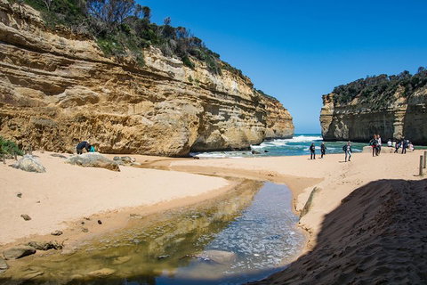 Great Ocean Road Reverse Itinerary With 12 Apostles From Melbourne - Find Attractions 2