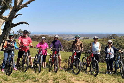 McLaren Vale Wine Tour By Bike - Find Attractions 2
