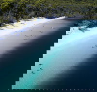 All-Inclusive Fraser Island Day Tour - Find Attractions