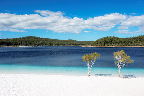 All-Inclusive Fraser Island Day Tour - Find Attractions 3