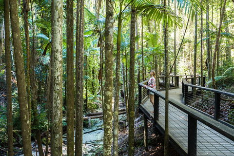 All-Inclusive Fraser Island Day Tour - Find Attractions 5