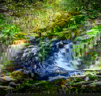 Day Tour in Mt. Field Mt. Wellington Bonorong Wildlife Sanctuary and Richmond - Find Attractions