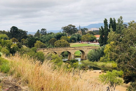 Day Tour In Mt. Field, Mt. Wellington, Bonorong Wildlife Sanctuary And Richmond - Find Attractions 3