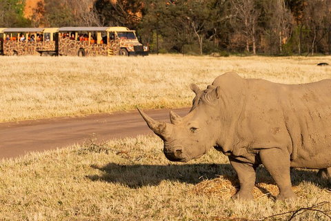 Sunset Safari At Werribee Open Range Zoo - Find Attractions 1