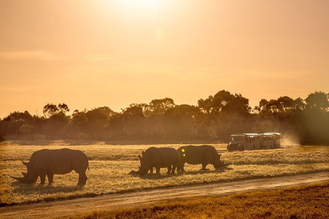 Sunset Safari At Werribee Open Range Zoo - Find Attractions 2