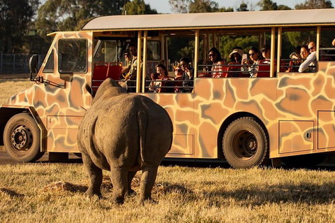 Sunset Safari At Werribee Open Range Zoo - Find Attractions 5