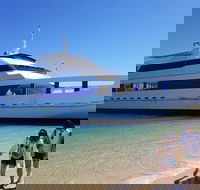 Moreton Island Day Trip Kayak Snorkel  Sandboard frm Brisbane or Gold Coast - Find Attractions