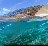 Great Barrier Reef Scenic Flight and Ocean Rafting Whitehaven Beach Day Trip - Find Attractions