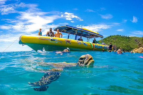 Great Barrier Reef Scenic Flight And Ocean Rafting Whitehaven Beach Day Trip - Find Attractions 1
