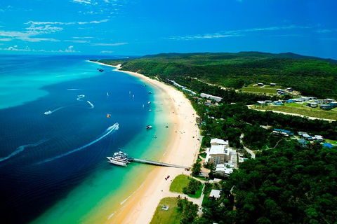 Tangalooma Island Resort Whale Watching Day Cruise - Find Attractions 2
