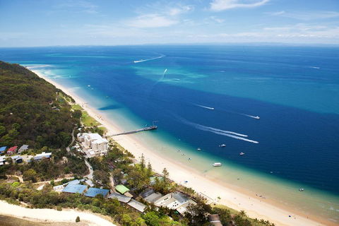Tangalooma Island Resort Whale Watching Day Cruise - Find Attractions 3