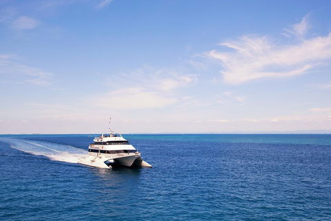 Tangalooma Island Resort Whale Watching Day Cruise - Find Attractions 5