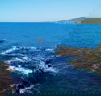 Julian Rocks Byron Bay Cruise - Find Attractions