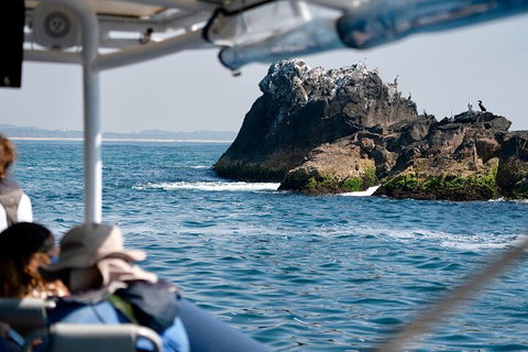 Julian Rocks Byron Bay Cruise - Find Attractions 2