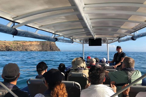 Julian Rocks Byron Bay Cruise - Find Attractions 4