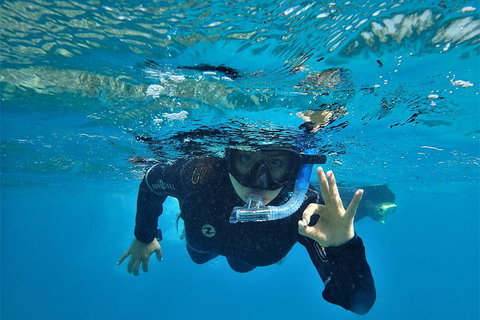3 Day Whitsundays Sailing And Diving Adventure: Kiana - Find Attractions 0