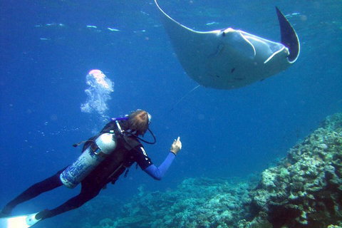 3 Day Whitsundays Sailing And Diving Adventure: Kiana - Find Attractions 3