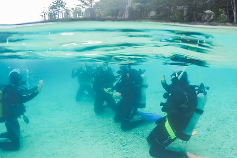 3 Day Whitsundays Sailing And Diving Adventure: Kiana - Find Attractions 4