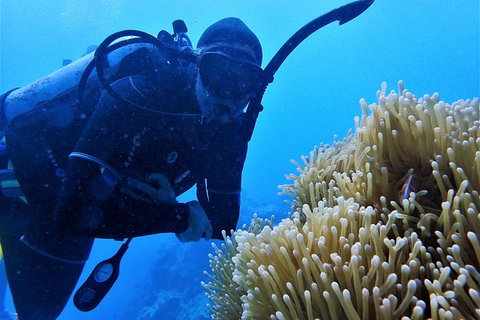 3 Day Whitsundays Sailing And Diving Adventure: Kiana - Find Attractions 5