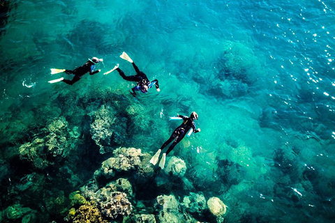 2-Night Whitsundays Sailing Adventure: Whitsunday Getaway - Find Attractions 5