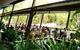 Hartley's Crocodile Adventures General Entry Ticket - thumb 3