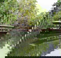 Hartley's Crocodile Adventures Breakfast with the Koalas - Find Attractions
