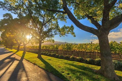 Very Best Of Perth Tour - Wildlife Park & City Highlights Tour - Find Attractions 2