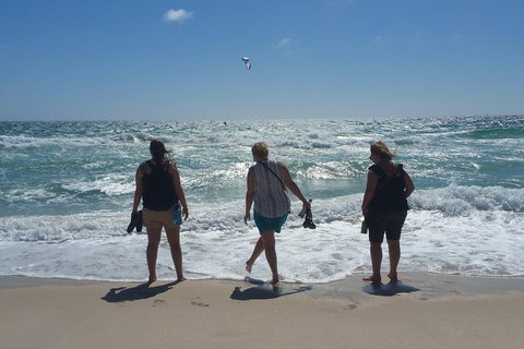 Very Best Of Perth Tour - Wildlife Park & City Highlights Tour - Find Attractions 5