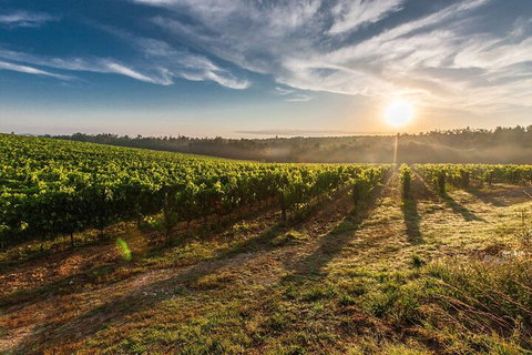 Perth To Margaret River Wine Tour - 2 Day Premium Boutique Wine Tour Experience - Find Attractions 0