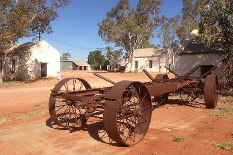 Palm Valley 4WD Day Tour - Find Attractions 0