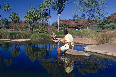 Palm Valley 4WD Day Tour - Find Attractions 1