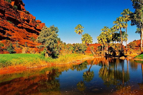 Palm Valley 4WD Day Tour - Find Attractions 2