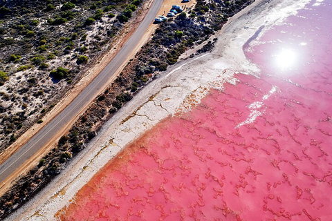 7-Day Exmouth Explorer Via Pinnacles Monkey Mia Ningaloo Reef Returning To Perth - Find Attractions 0