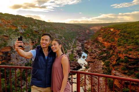 7-Day Exmouth Explorer Via Pinnacles Monkey Mia Ningaloo Reef Returning To Perth - Find Attractions 5