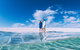 4-Day Coastal Loop Via Monkey Mia Wild Dolphins Kalbarri Pinnacles Perth Return - thumb 0