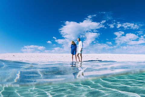 4-Day Coastal Loop Via Monkey Mia Wild Dolphins Kalbarri Pinnacles Perth Return - Find Attractions 0
