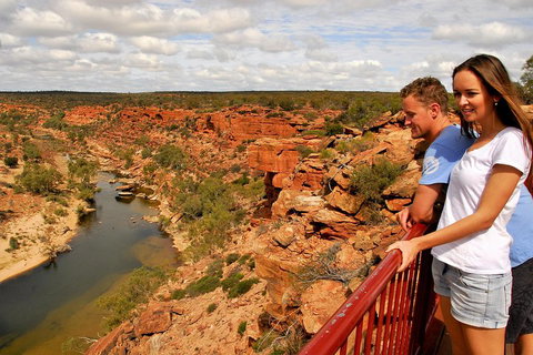 4-Day Coastal Loop Via Monkey Mia Wild Dolphins Kalbarri Pinnacles Perth Return - Find Attractions 3