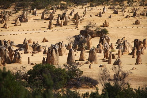 Pinnacles Sunset Dinner And Stargazing Experience A Small Group Tour - Find Attractions 0