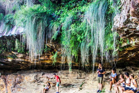 Sunset Blue Mountains Wilderness & Wildlife Tour Without The Crowds - Find Attractions 1