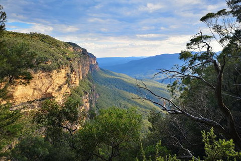 Sunset Blue Mountains Wilderness & Wildlife Tour Without The Crowds - Find Attractions 2