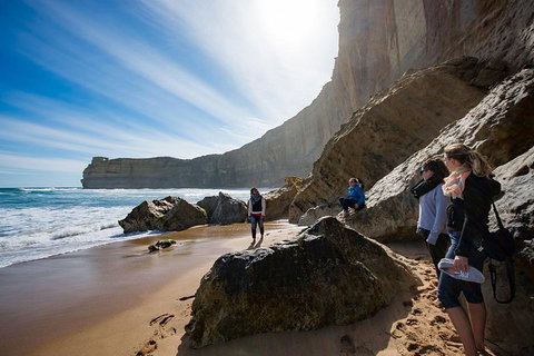 2-Day Melbourne To Adelaide Tour: Great Ocean Road And Grampians One Way Trip - Find Attractions 1