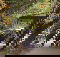 Adelaide Highlights Hahndorf  McLaren Vale Wine Tasting and Sightseeing Tour - Find Attractions