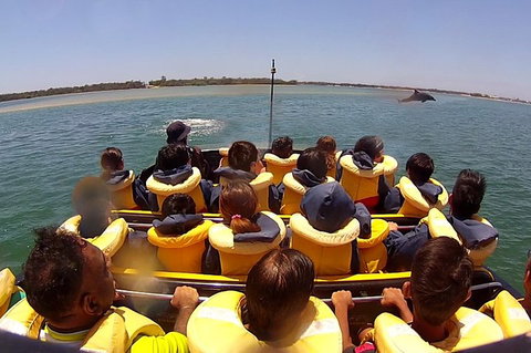 Jet Boat Express Ride - 30mins - Find Attractions 5