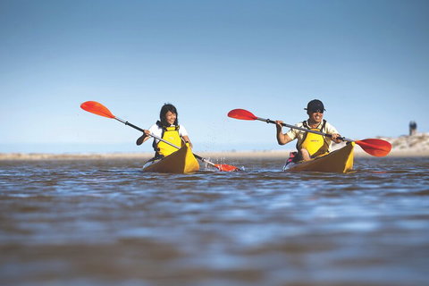 Kangaroo Island Self-Guided Kayaking On The Harriet River - Find Attractions 2