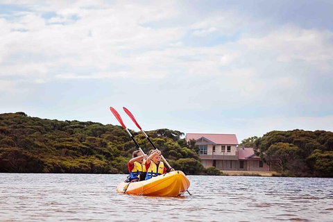 Kangaroo Island Self-Guided Kayaking On The Harriet River - Find Attractions 5