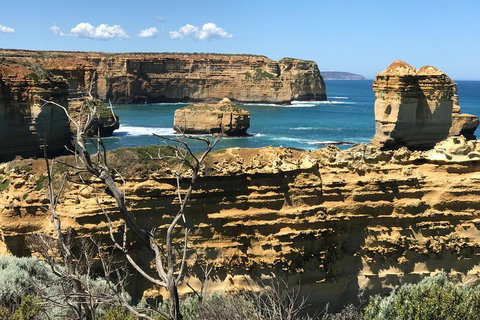 Great Ocean Road Reverse Itinerary Tour - Find Attractions 1