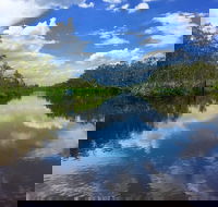 Noosa Everglades Serenity Cruise  Highlights Tour Inc. Lunch  Cruise - Find Attractions